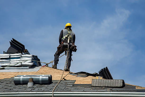 Professional Gutter Installation technician working in La Plata, MO